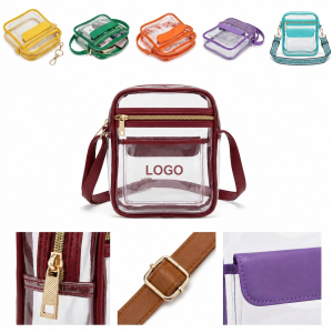 Transparent Crossbody Shoulder Bag with Color-Accent Trim and Adjustable Strap